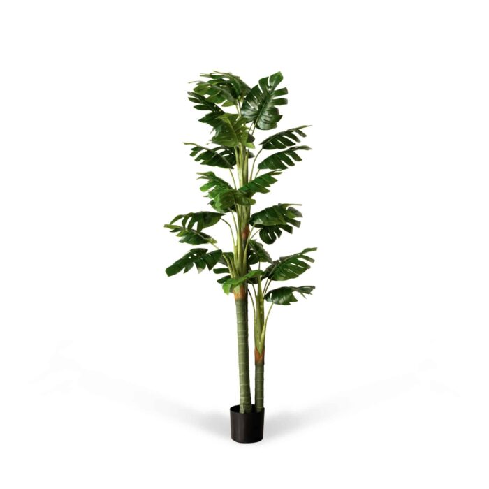 70" Aria Monstera Tree