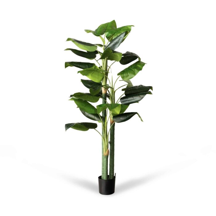 70" Leilani Taro Tree