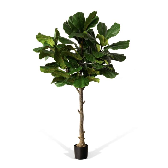 78" Verde Fiddle Leaf Tree