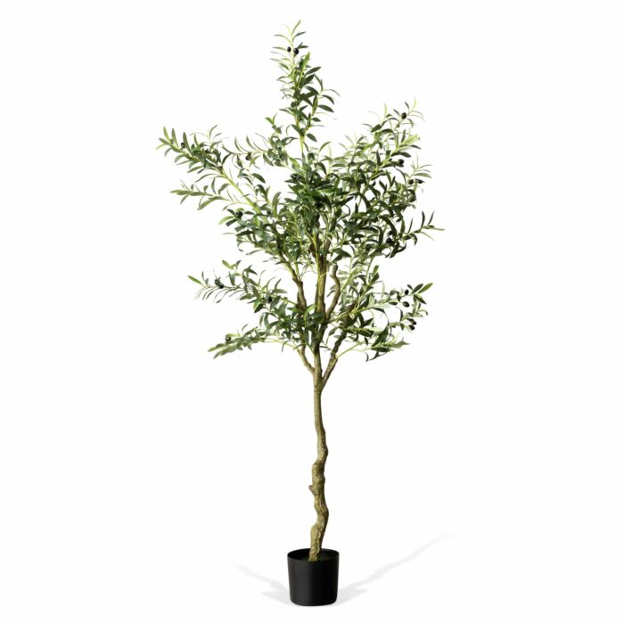 82" Verona Olive Tree