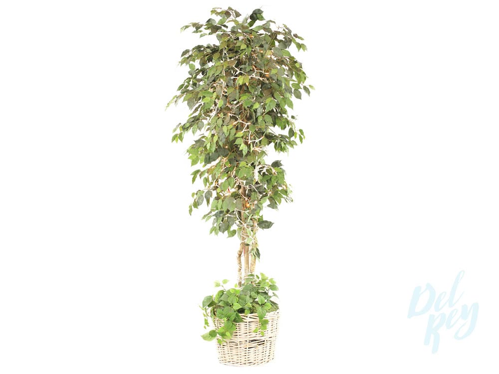 Artificial ficus tree del rey party rentals