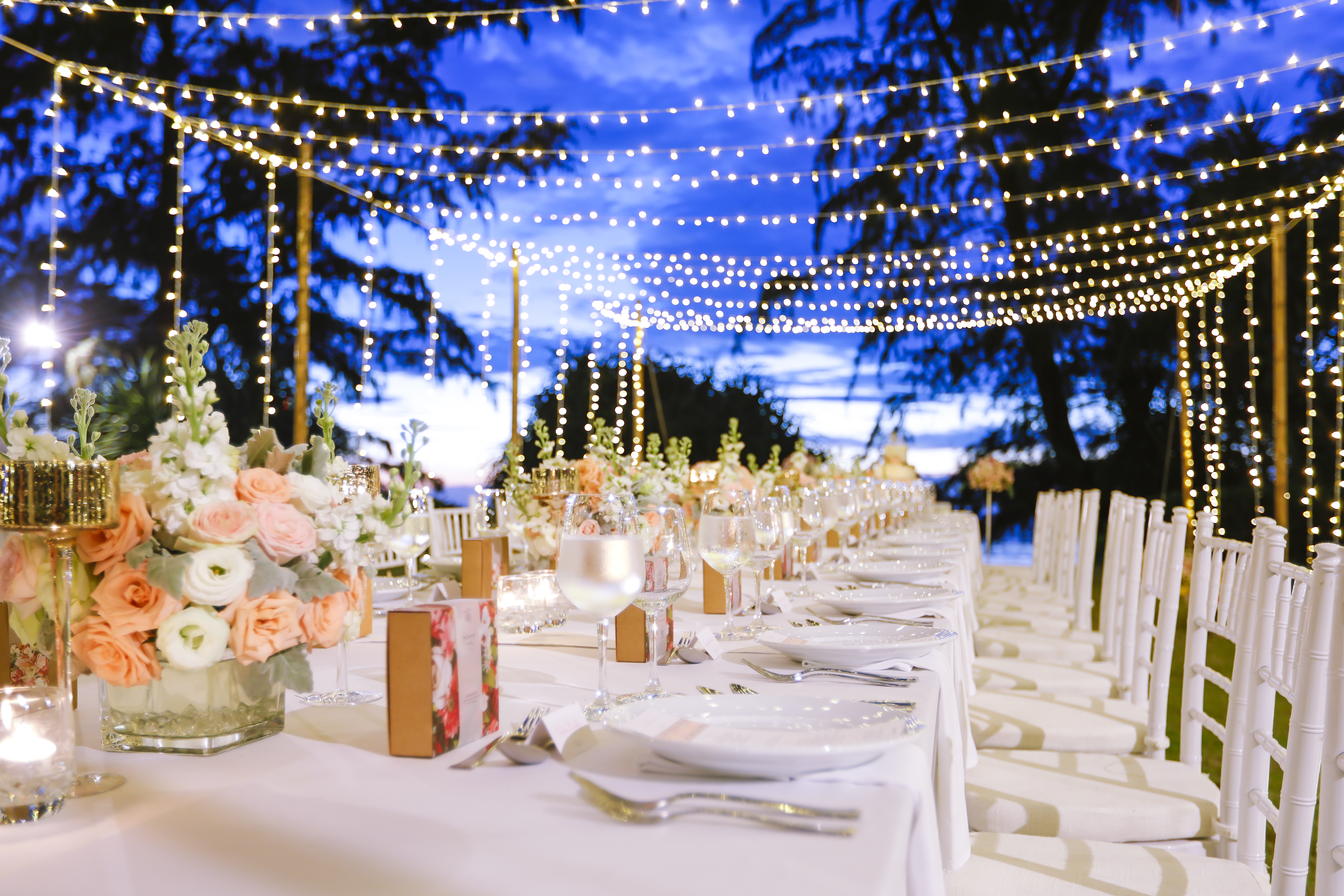 Wedding Wedding