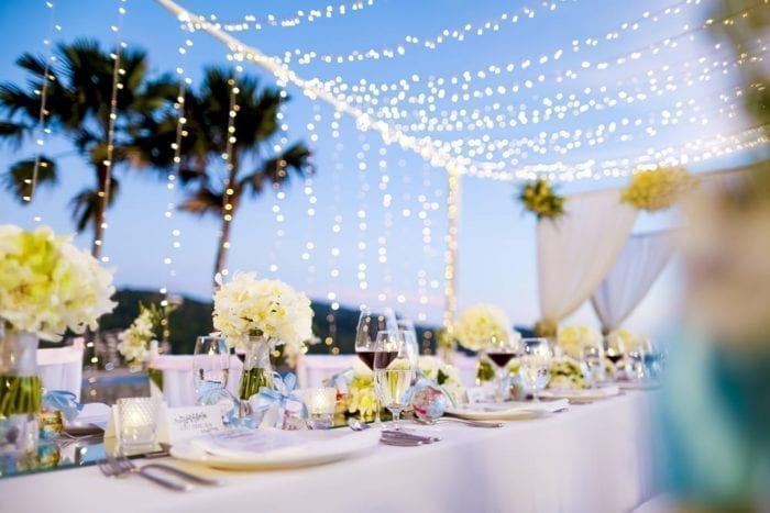 Twinkle Lights - Image 2